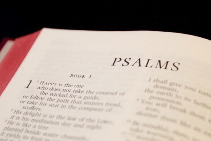 Psalm 95 | A Call to Worship and A Warning